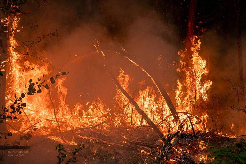 *** фото превью