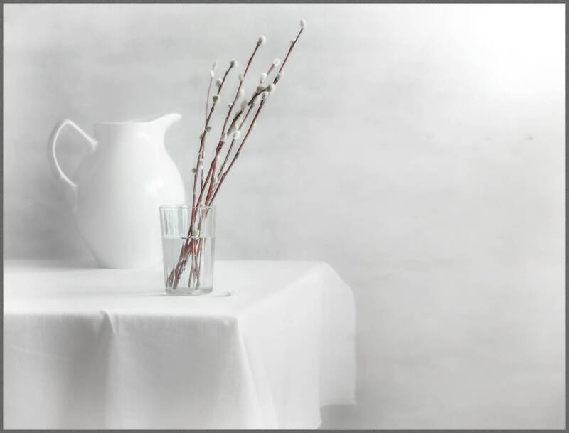 Вербное фото превью