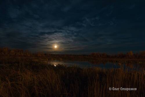 Лунная осень
