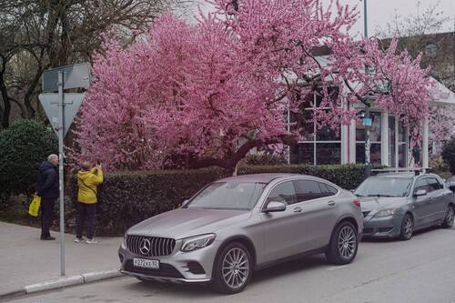 Мартовский привет из Ялты.