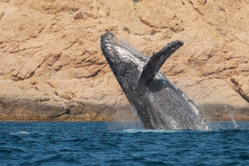 Полёт гиганта фото превью