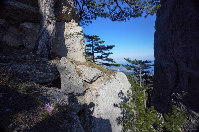 Обитатели крымских гор … фото превью