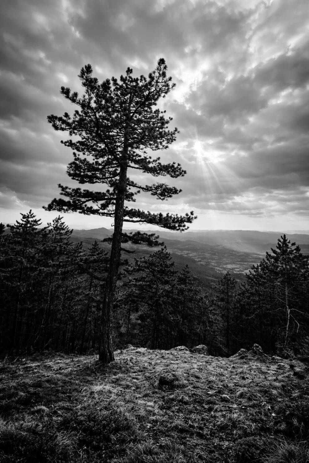 , Шилов Александр