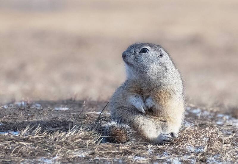 Посиделки фото превью