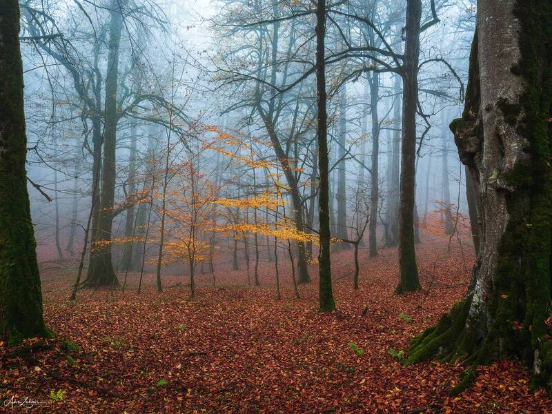 landscape, nature, travel, autumn, photography, outdoor Autumn Vibe фото превью