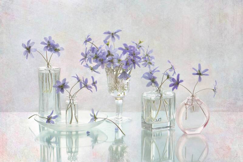 Весенний флёр фото превью