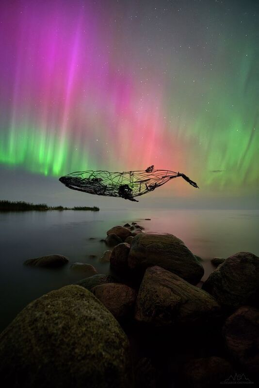 Пойманный в сети авроры фото превью