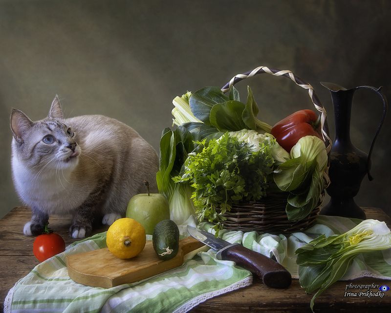 натюрморт, овощи, питомцы Агрессивный антивеган фото превью
