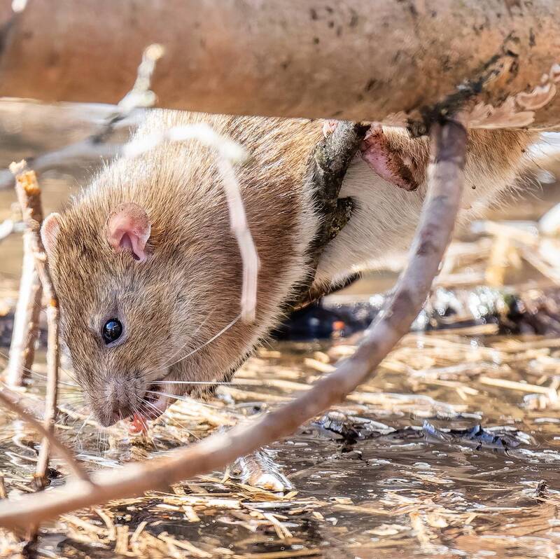 Умывашки фото превью