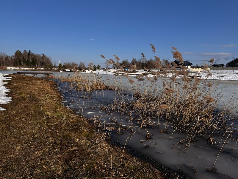 прохладный ветреный день фото превью