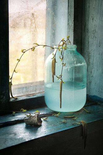 Берёзовый сок