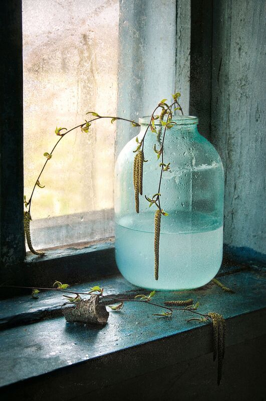 натюрморт, берёза, весна, окно, дождь, настроение, still life, spring, rainy mood, window, деревенский быт, чистый четверг Берёзовый сок фото превью