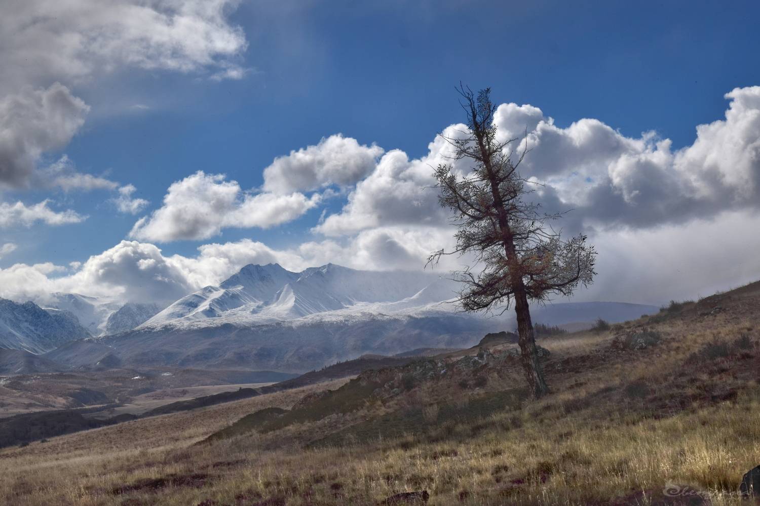 , Крат Светлана