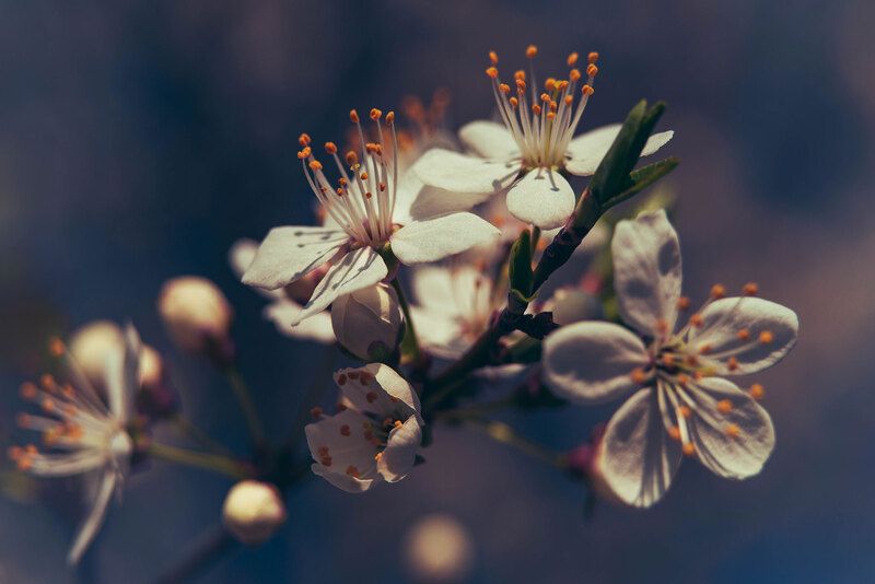 Пространство весны фото превью