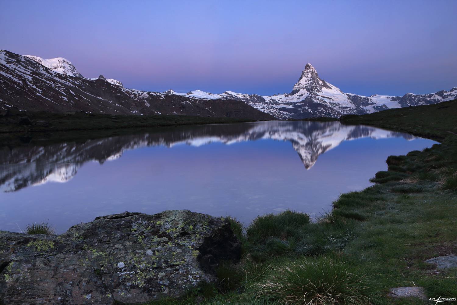 swiss, Матвеев Николай