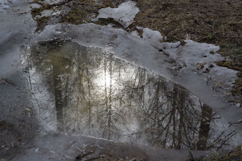 мартовская фото превью