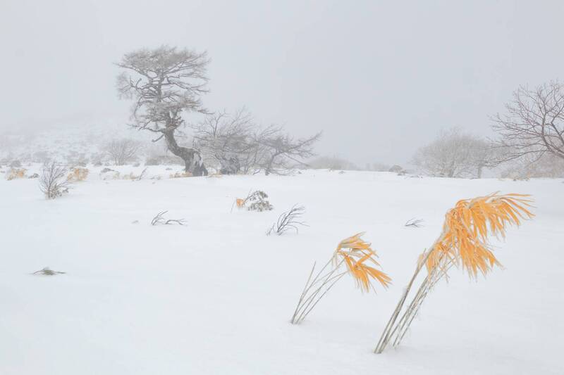 Зимний лаконизм Итурупа фото превью