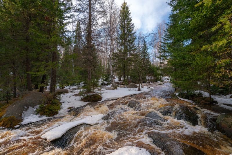Весенние воды реки Северка фото превью