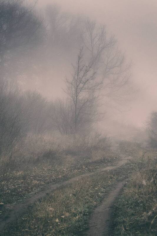 природа, туман, апрель Туманной дорожкой.. фото превью