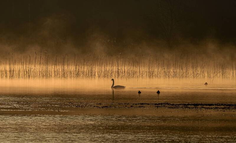 Утро фото превью