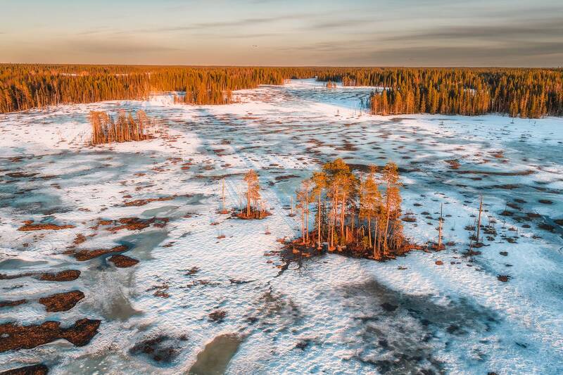 поморье, весна Закат на болоте фото превью