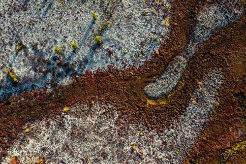 Ручей в тундре