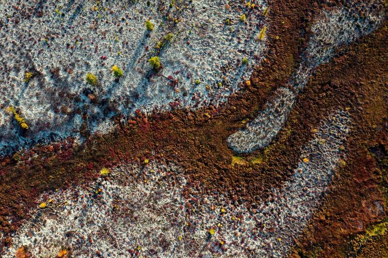 тундра, ручей, болото, ямал, ягель, надым Ручей в тундре фото превью