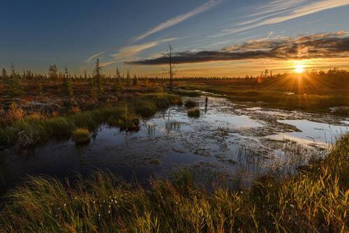 Закат в тундре!