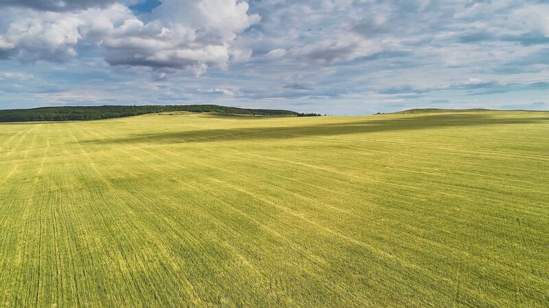 поле, dji, лето Поле фото превью