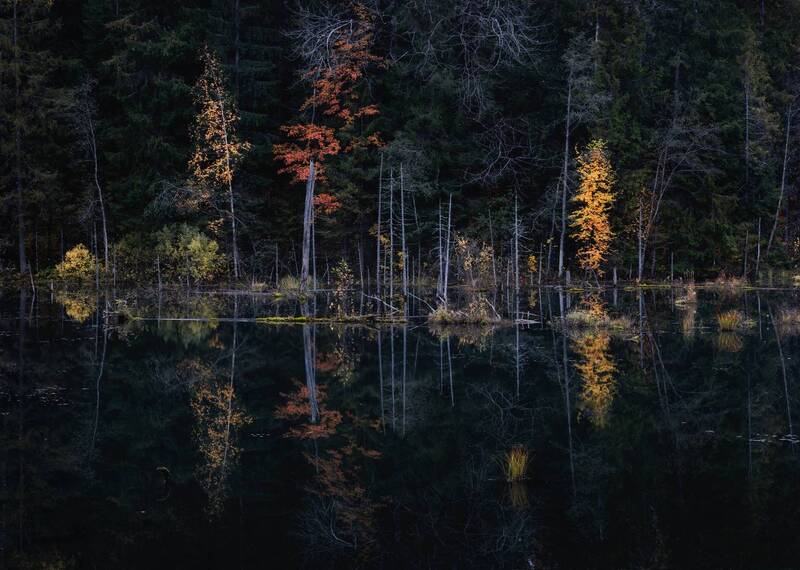 Так начиналась осень фото превью