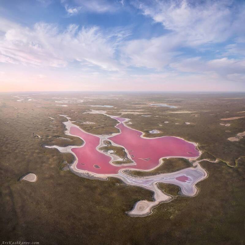 калмыкия, розовые озера, меклетинское, адык, страна бумба, пейзаж степи Розовое озеро фото превью