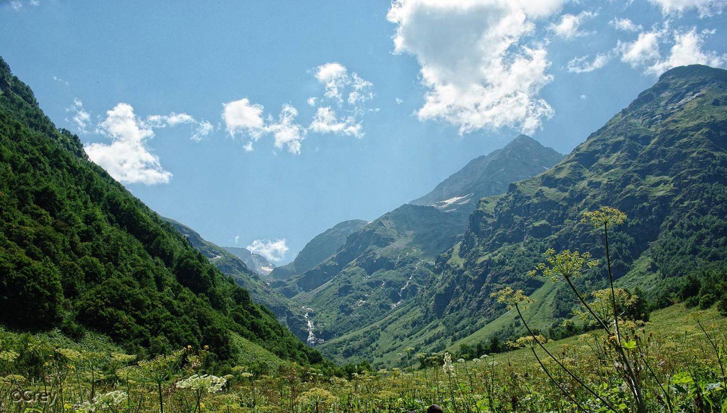 , Сергей Павлов