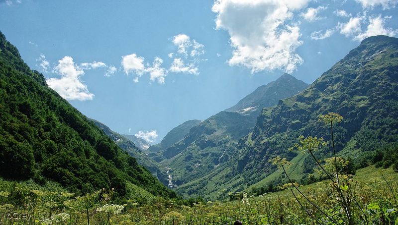 Прогулки за городом;) фото превью