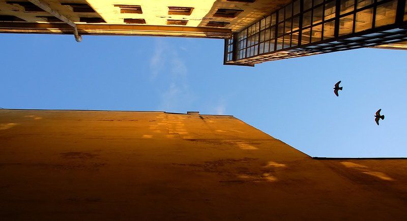 Полет фото превью