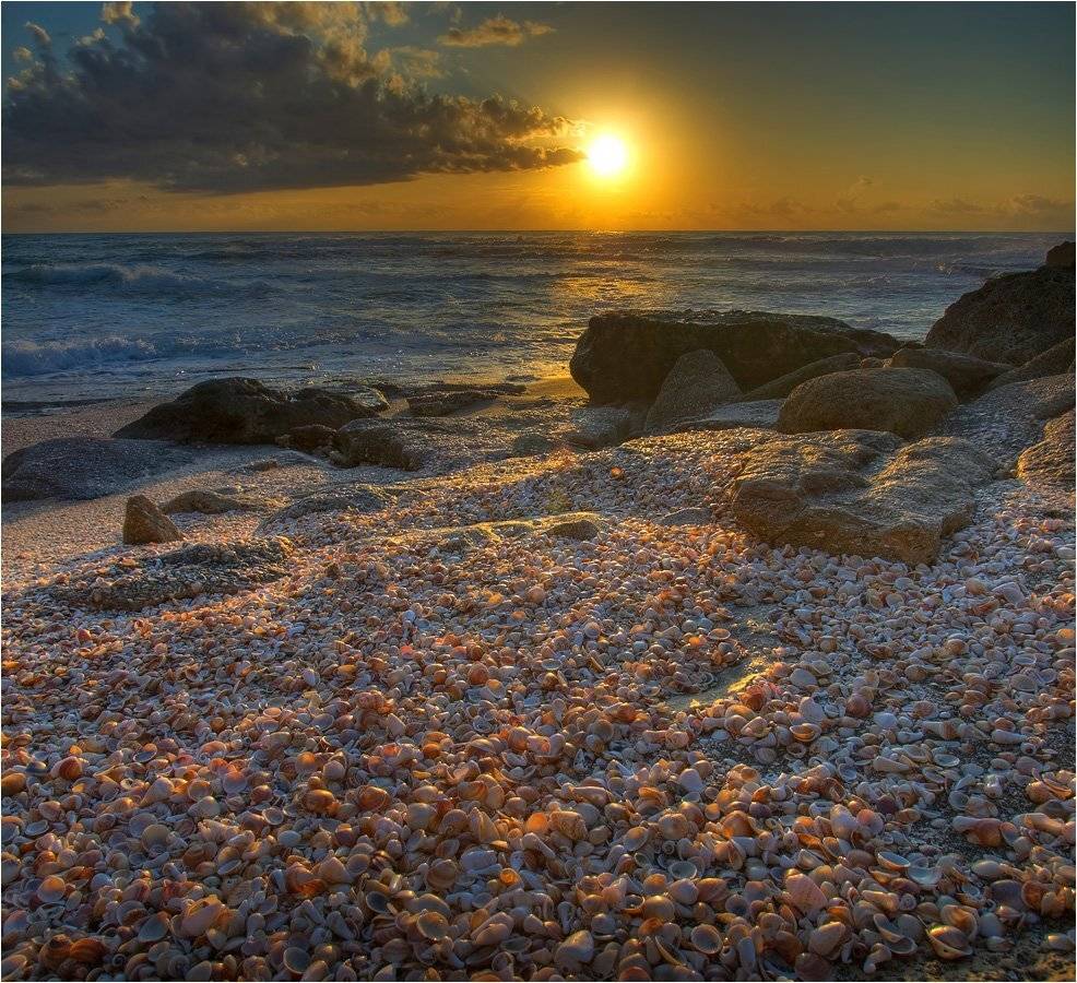 , Александр Беляев