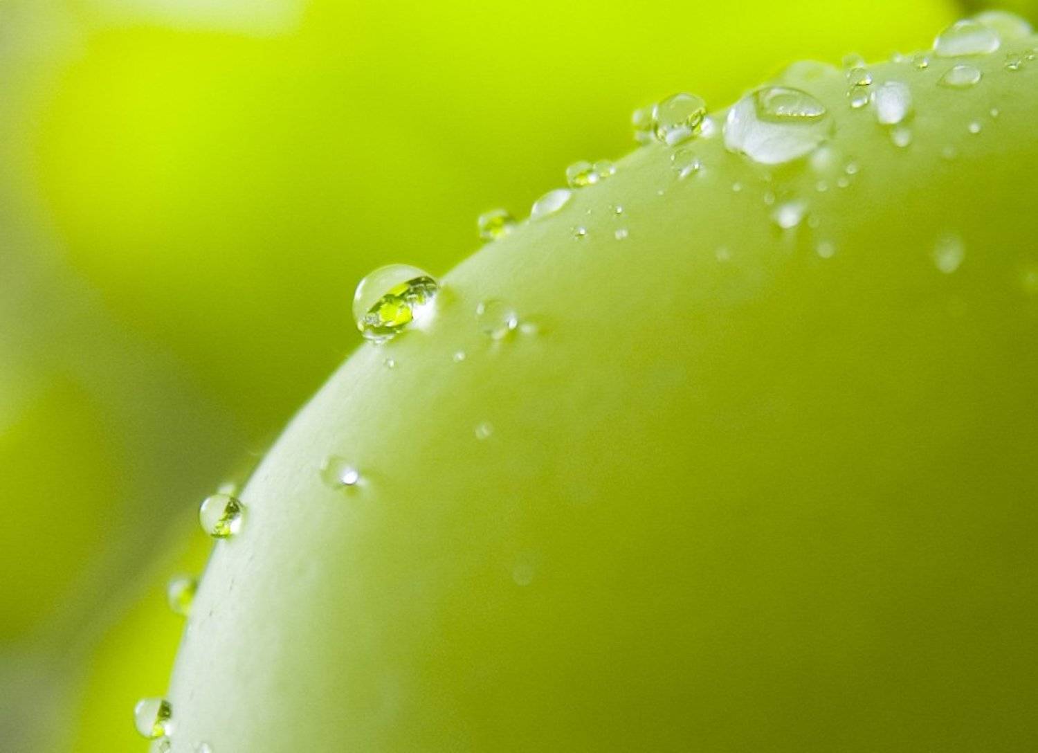 яблоко, капли, макро, Александр Курносов