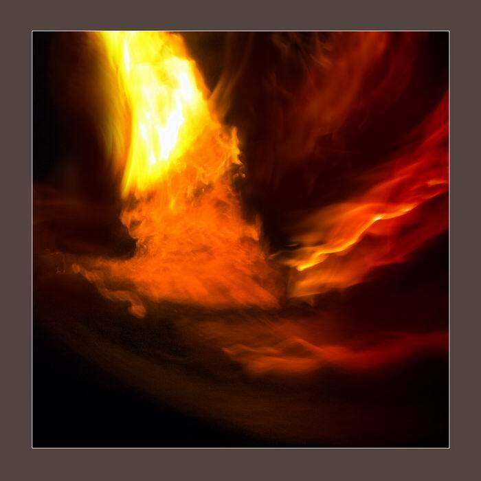 птица, огонь, николай дмитрук