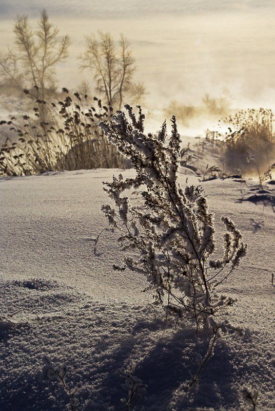 природа, зауралье *** фото превью