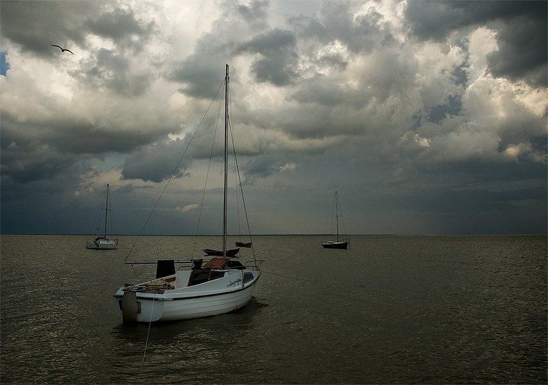 желтое фото превью