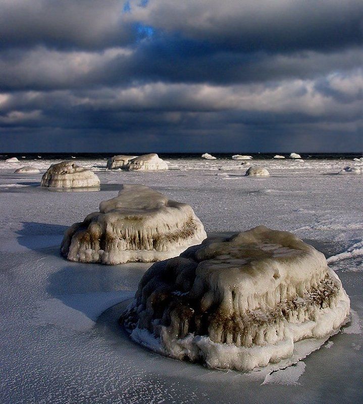 ватрушки фото превью