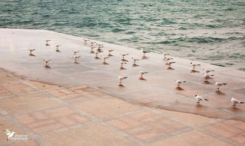 Готовимся ко взлёту .... фото превью