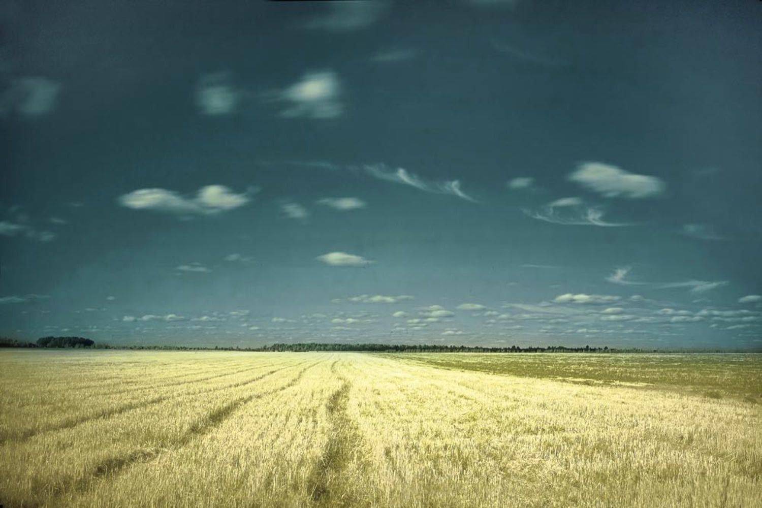 , Смирнов Павел