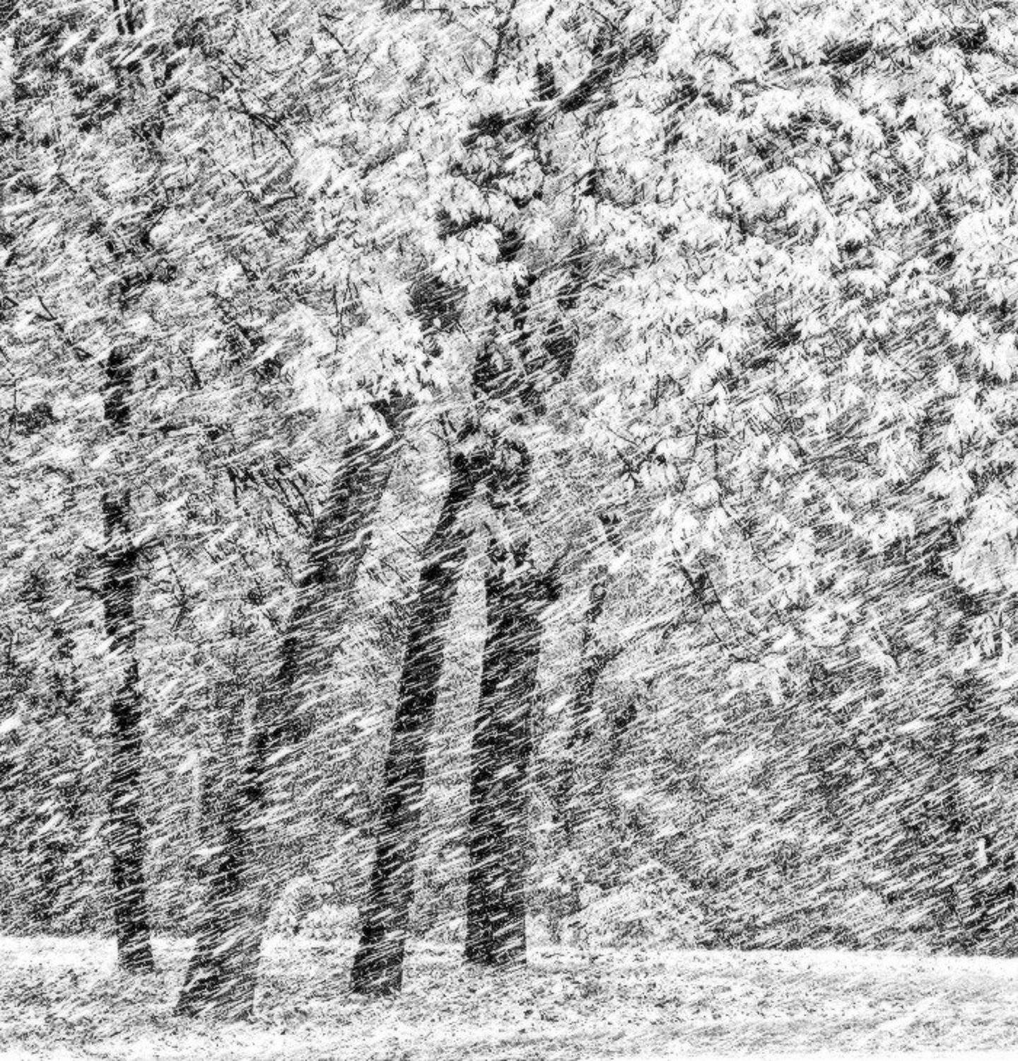 , Viktor Kalechenkov