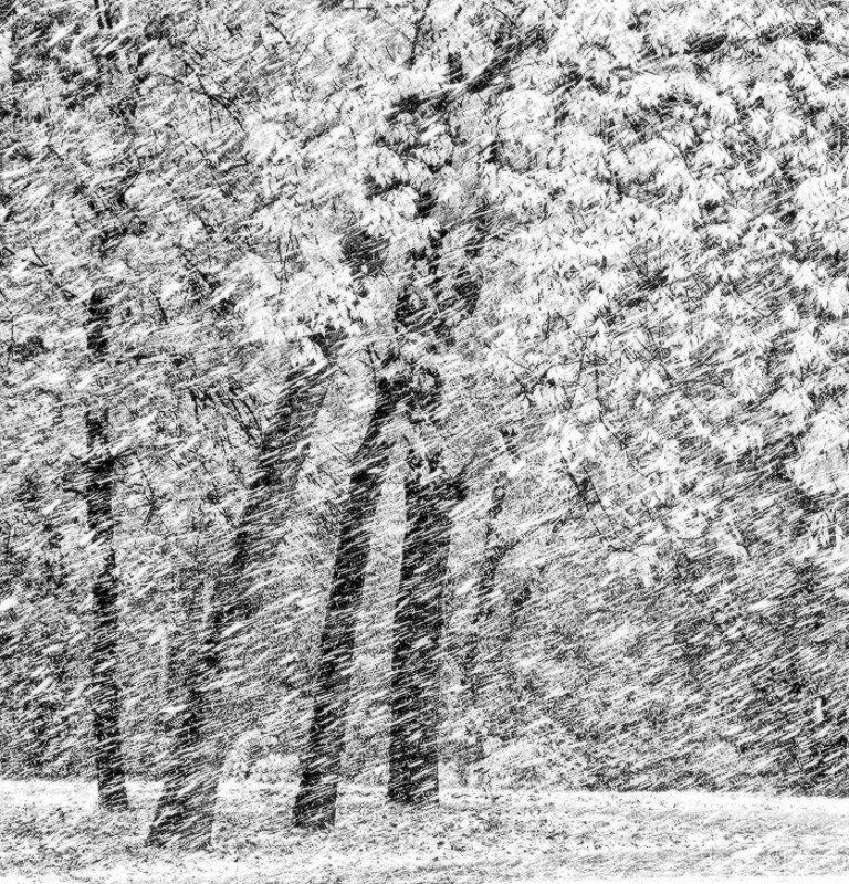 Заметает фото превью