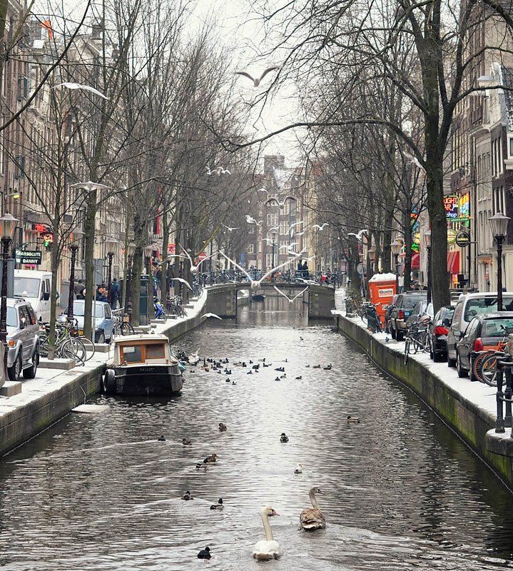 амстердам Амстер фото превью