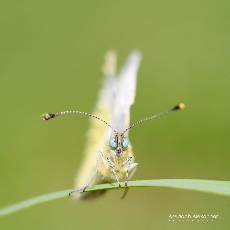 Hello!!! фото превью