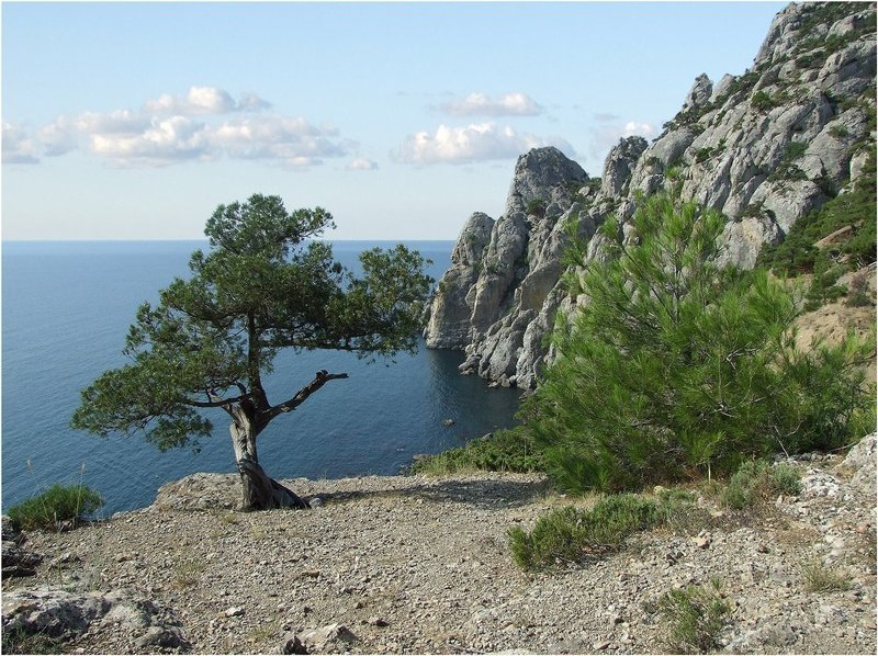 *** фото превью