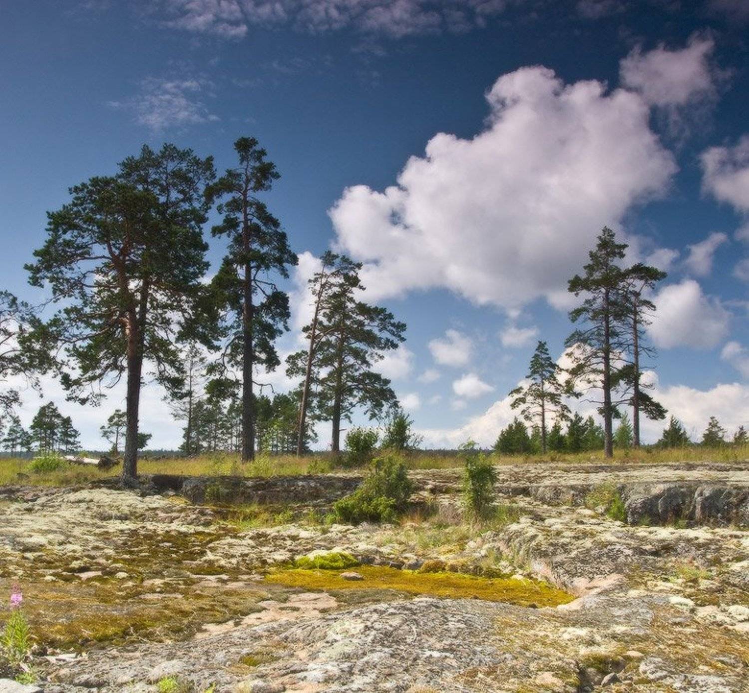 , Viktor Kalechenkov