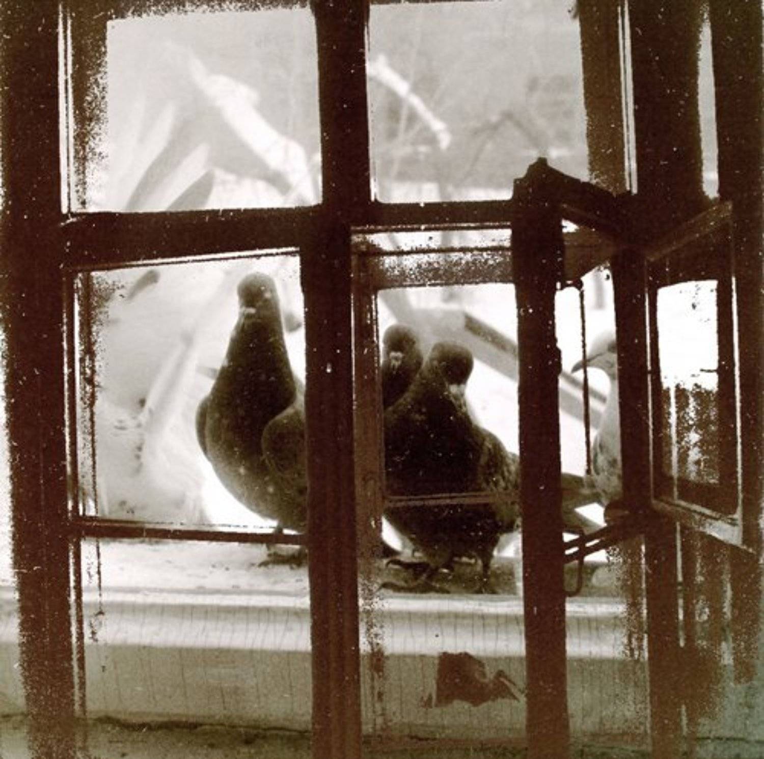 , Юлия Макарова-Томина