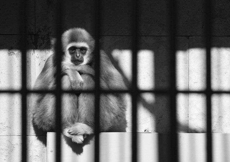 , Сутырин Дмитрий